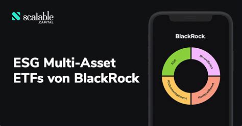 BlackRock Multi.